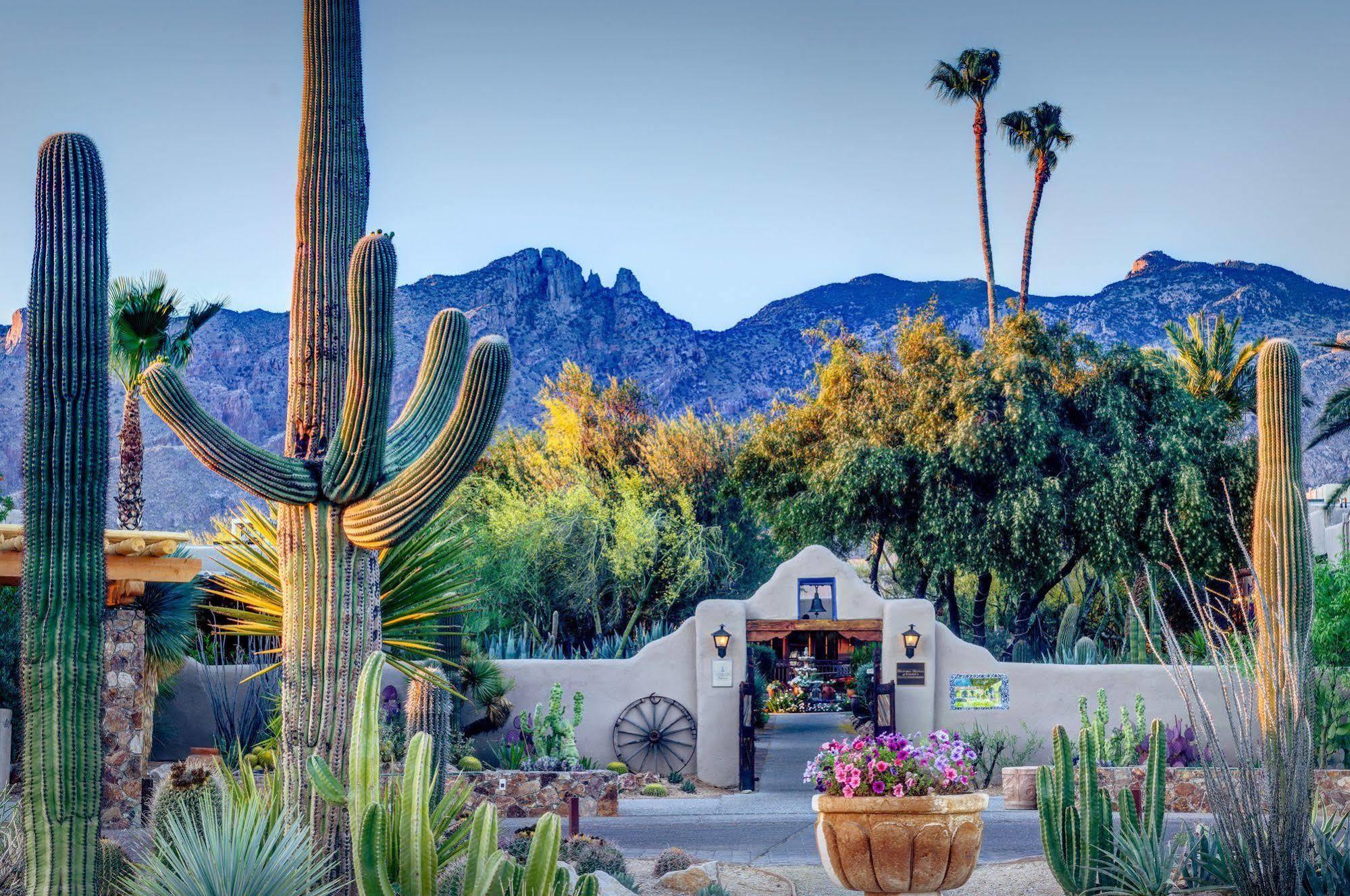 Hacienda Del Sol Guest Ranch Resort توسن المظهر الخارجي الصورة